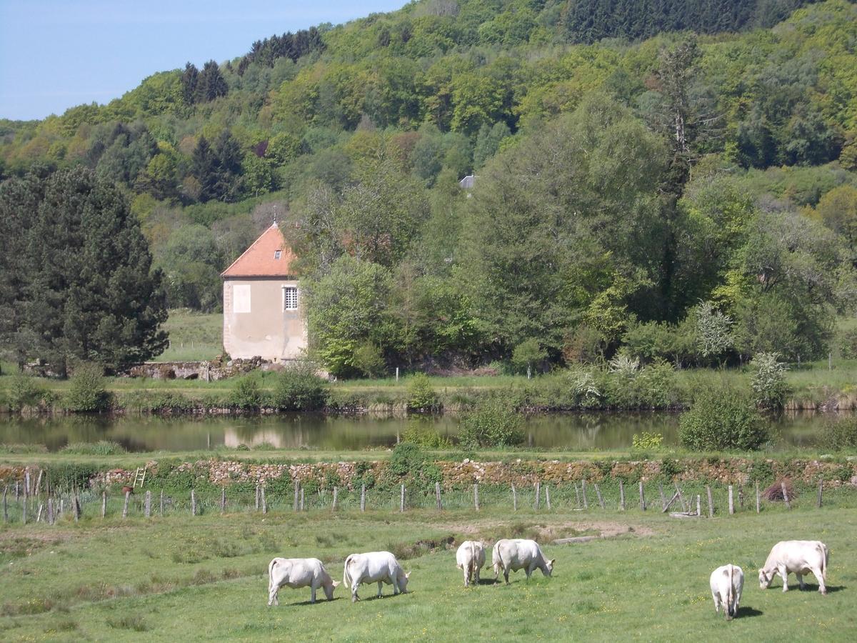 Auberge Du Morvan Alligny-en-Morvan ภายนอก รูปภาพ